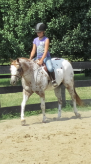 max pony 005web